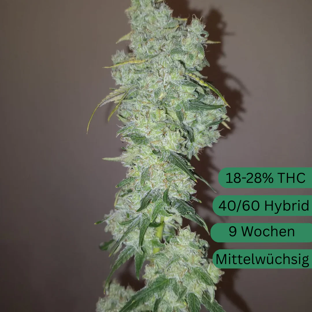 Produktbild 2